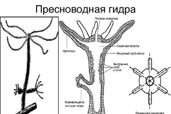 Кракен шоп зеркало