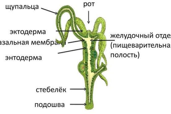 Кракен наркомаркет